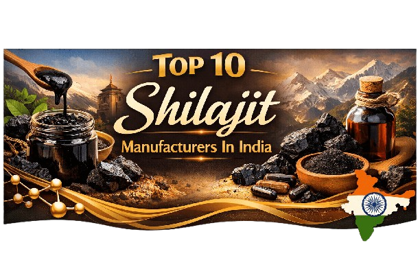 Top 10 Shilajit Manufacturers In India