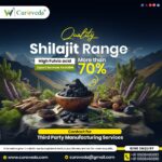 Shilajit Manufacturing company