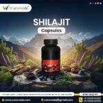 Shilajit Manufacturer Services