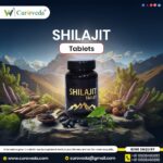 Shilajit Manufacturers