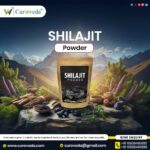 Shilajit Manufacturer