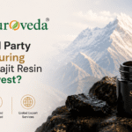 Why Third Party Manufacturing Makes Shilajit Resin a Must-Invest