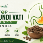 Top Agnitundi Vati Brands in India