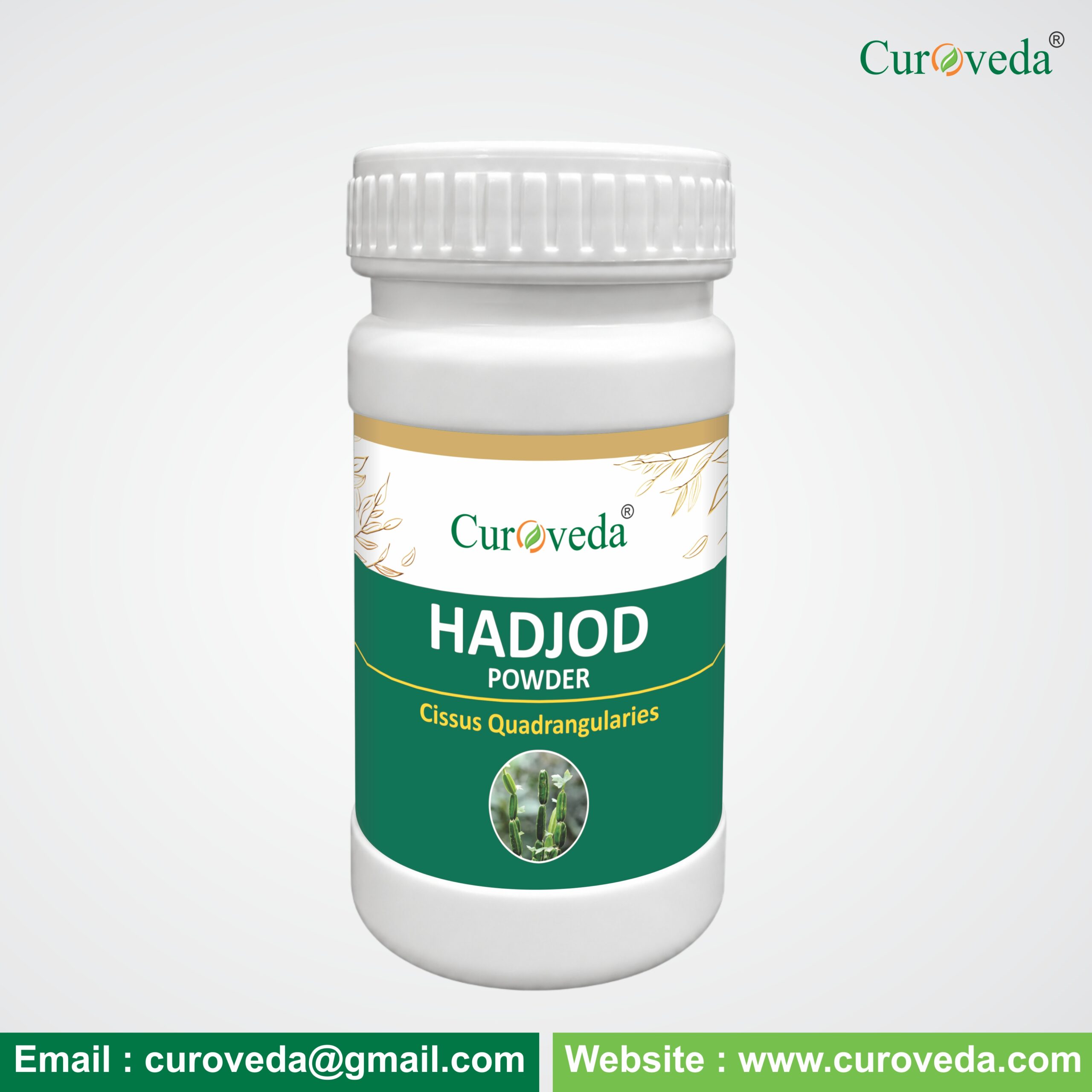 Hadjod Powder